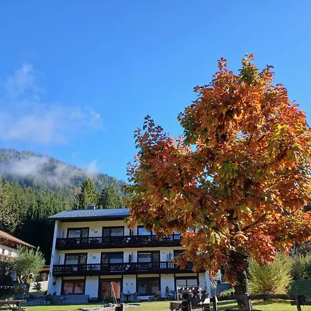 بيت ضيافة & 3*