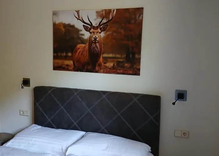 & 3* וויסבריאך