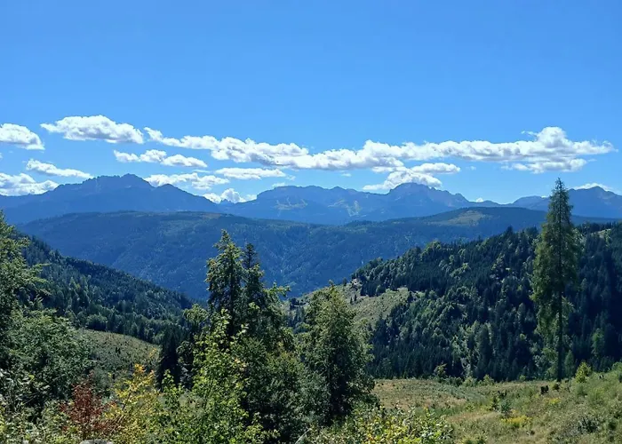 & בית הארחה וויסבריאך